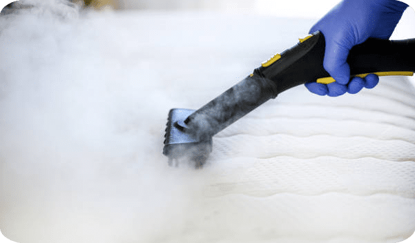 Picsart_24-05-29_20-49-50-038