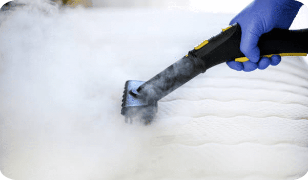 Picsart_24-05-29_20-49-50-038