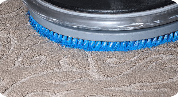 Picsart_24-05-29_20-50-56-114