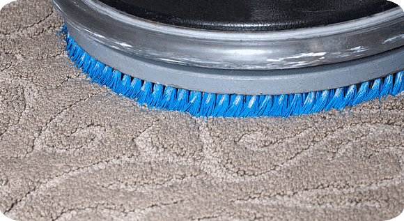 Picsart_24-05-29_20-50-56-114