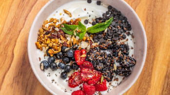 Allurion-swallowable-Gastric-Balloon-04-diet-program