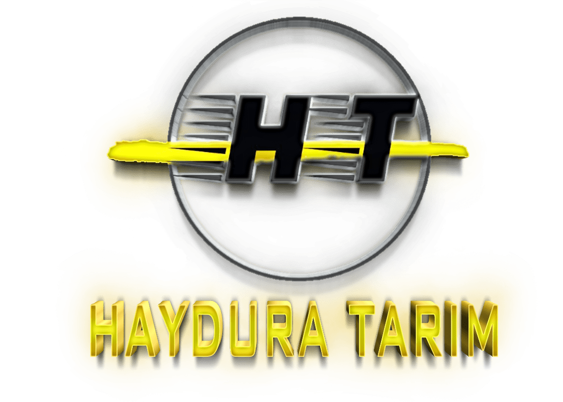 LOGO TASARIMI