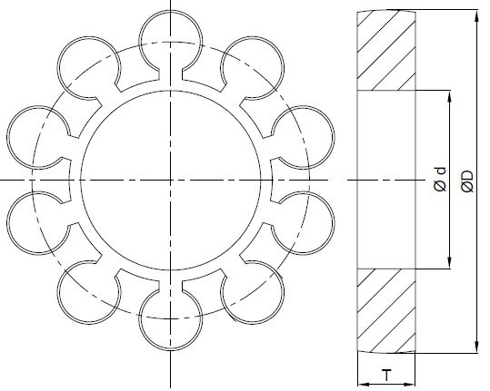 Paptaya-Kaplin-Lastigi-Olculeri