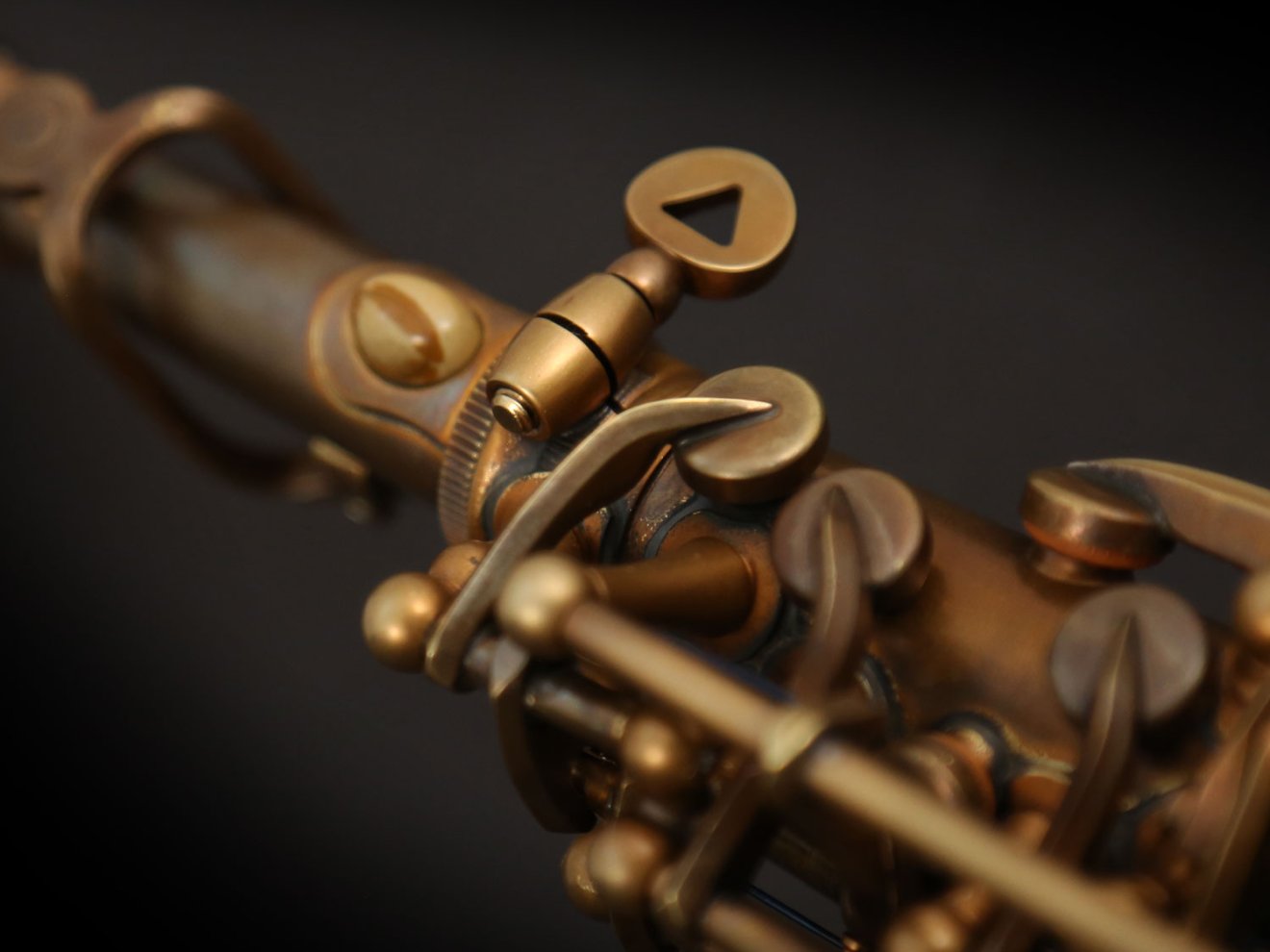 Saksafon Boyun Vidası