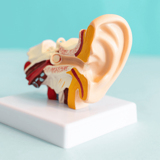 tek-tarafli-isitme-kaybi-nedir-kare