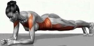 Plank Egzersizinin Faydaları