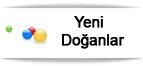 Doganlar