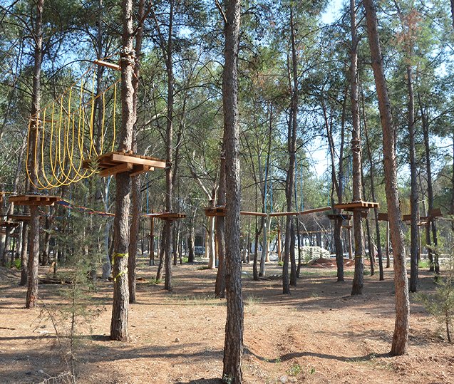 Adventure Park Installation