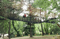 macera parkı antalya