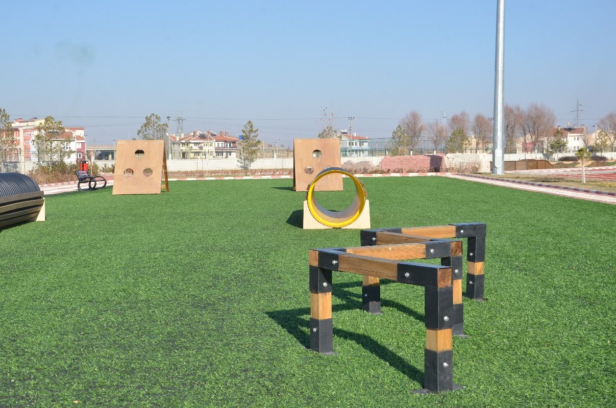 Mobile Survivor Trails