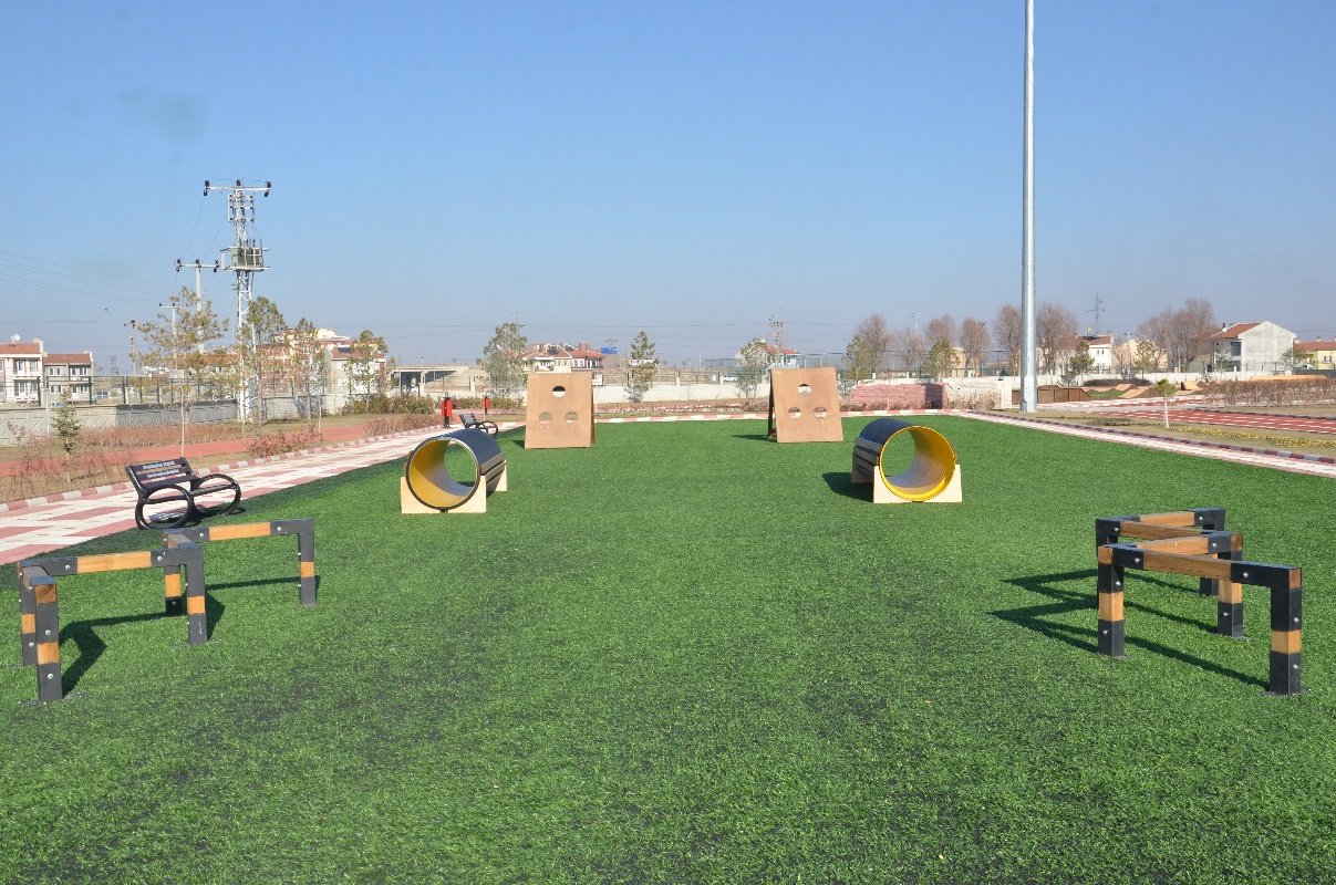 Mobile Survivor Trails