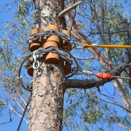 Antalya Büyük Şehir Belediyesi Macera Parkı