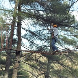 Harmancık Municipality