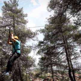 Harmancık Municipality