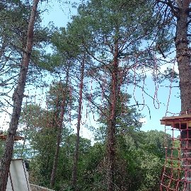 Fındıklı District Governorship - Adventure Park