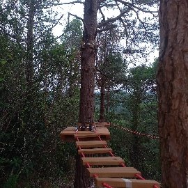 Fındıklı District Governorship - Adventure Park