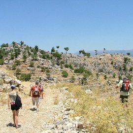 Eco Family Park Hotel