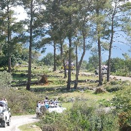 Eco Family Park Hotel