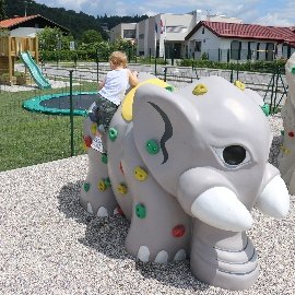 Elephant Climbing Walls