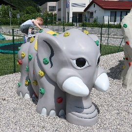 Elephant Climbing Walls