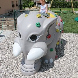 Elephant Climbing Walls
