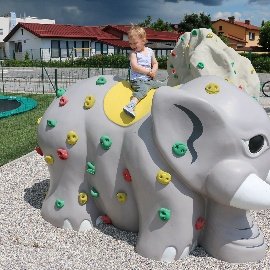 Elephant Climbing Walls