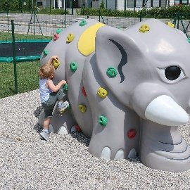 Elephant Climbing Walls