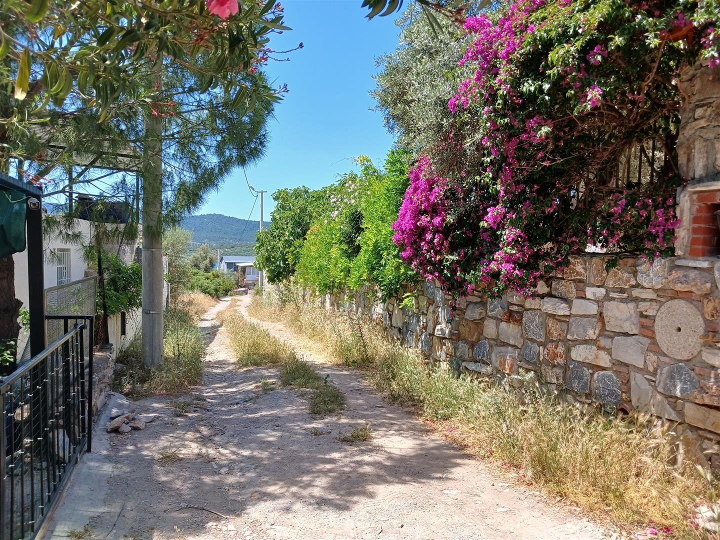 Milas-Kıyıkışlacık 1+1 Mini Tatil Evi (15)