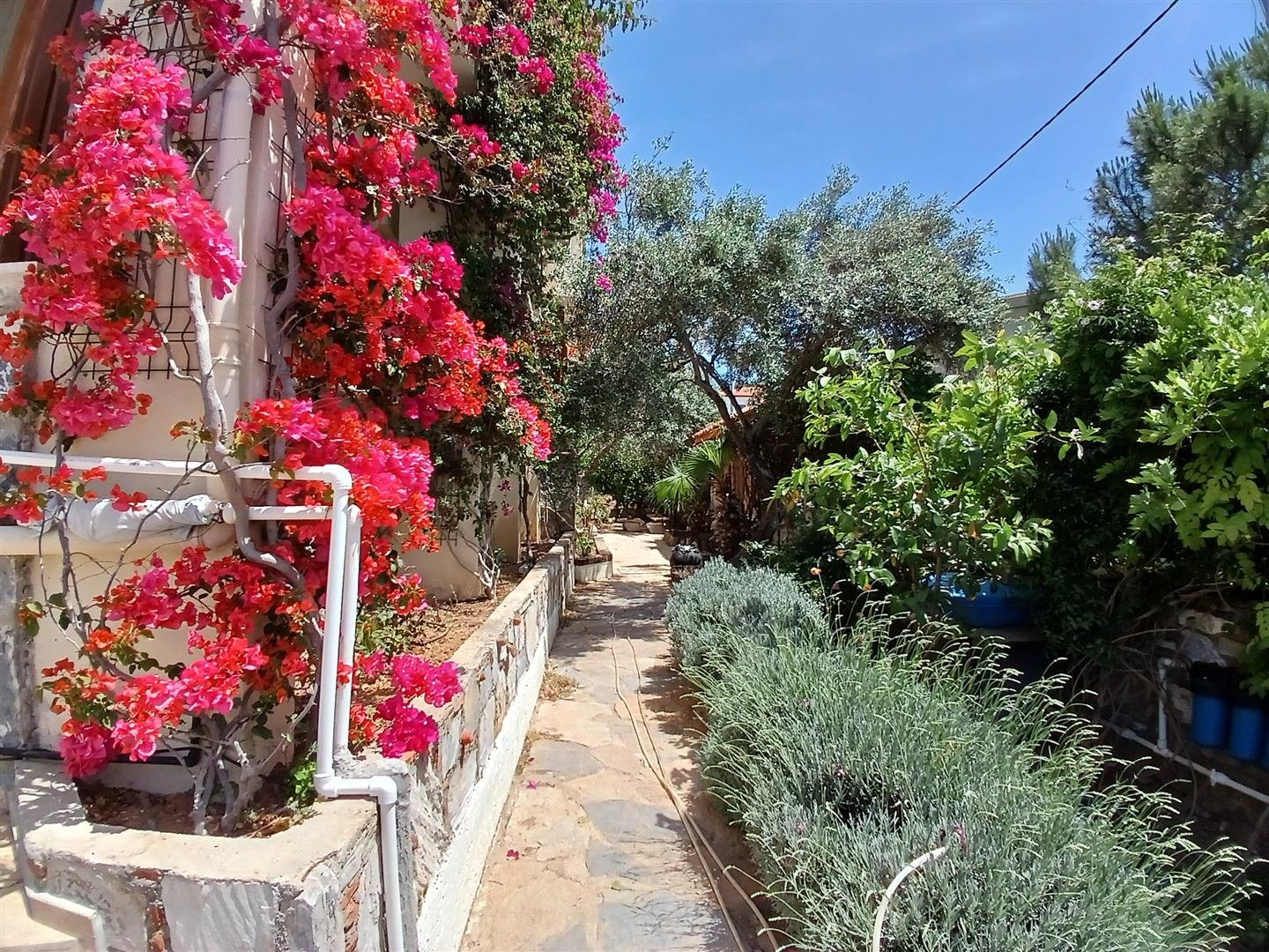 Milas-Kıyıkışlacık 1+1 Mini Tatil Evi (11)