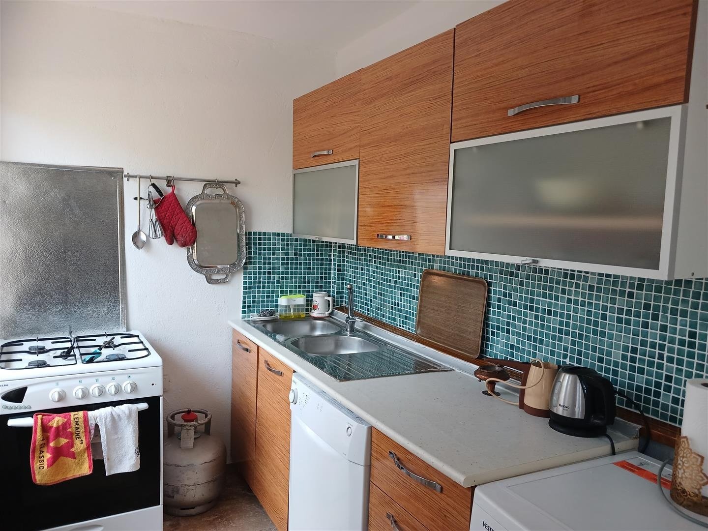 Milas Kıyıkışlacık 1+1 Mini Tatil Evi (15)