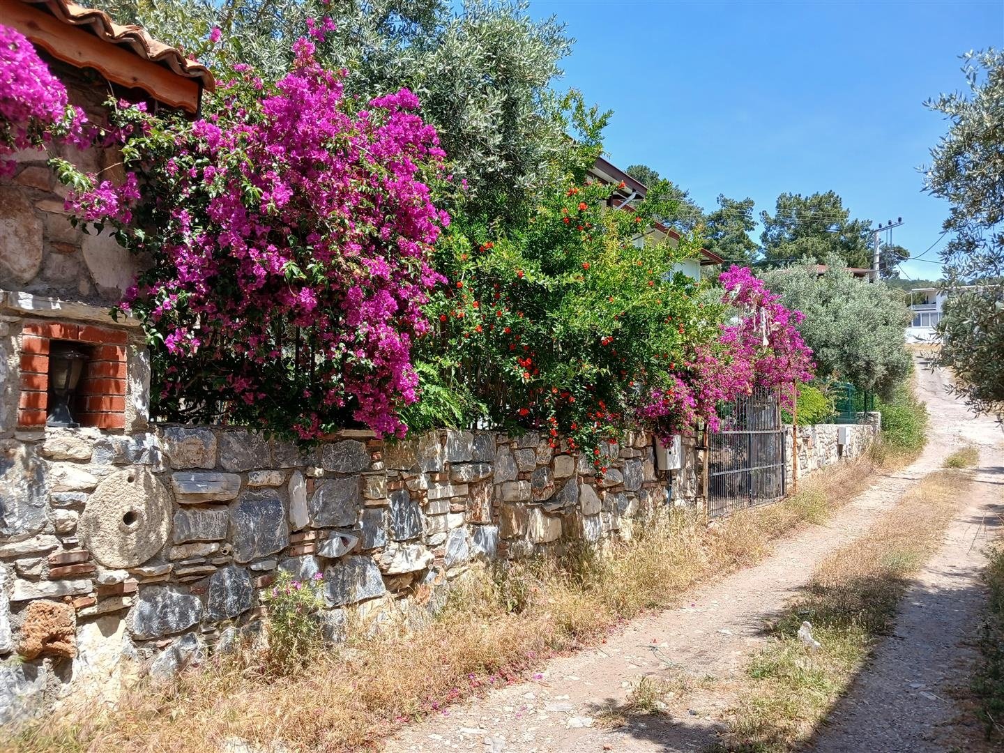Milas Kıyıkışlacık 1+1 Mini Tatil Evi (3)