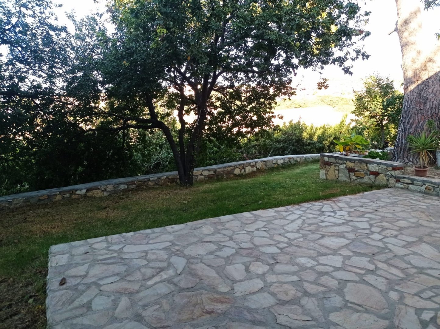Taş ev kuşadası sogucak