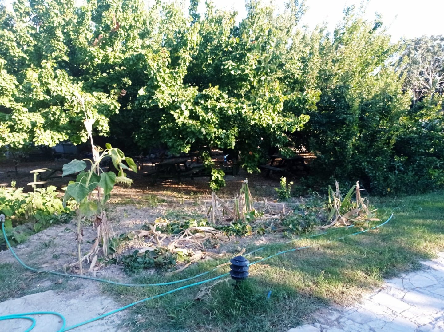 günlük kiralık tatil evleri