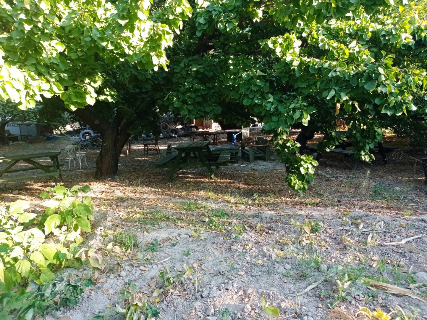 günlük kiralık tatil evleri