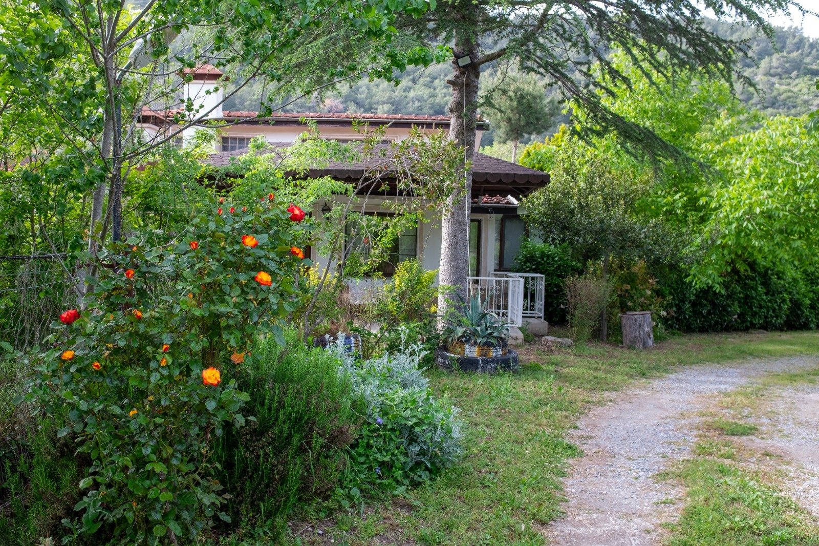 Kuşadası, Kirazlı Müstakil Çiftlik Ev