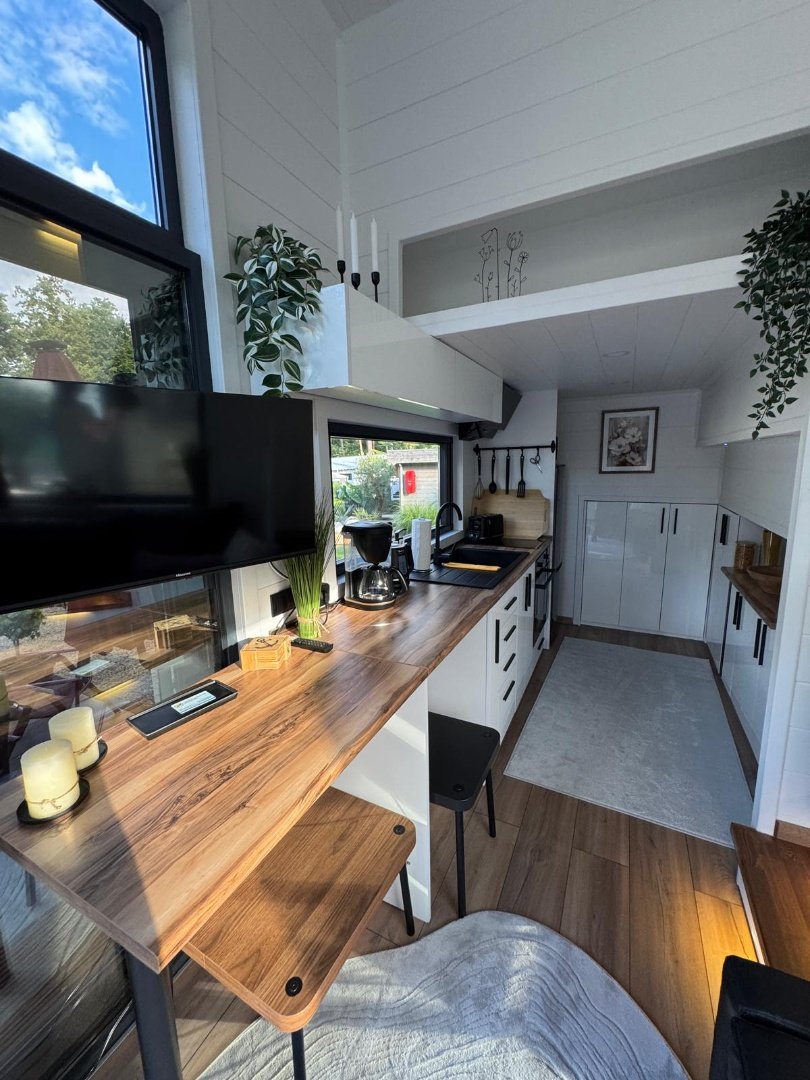 Queen Dream 8334 (13)