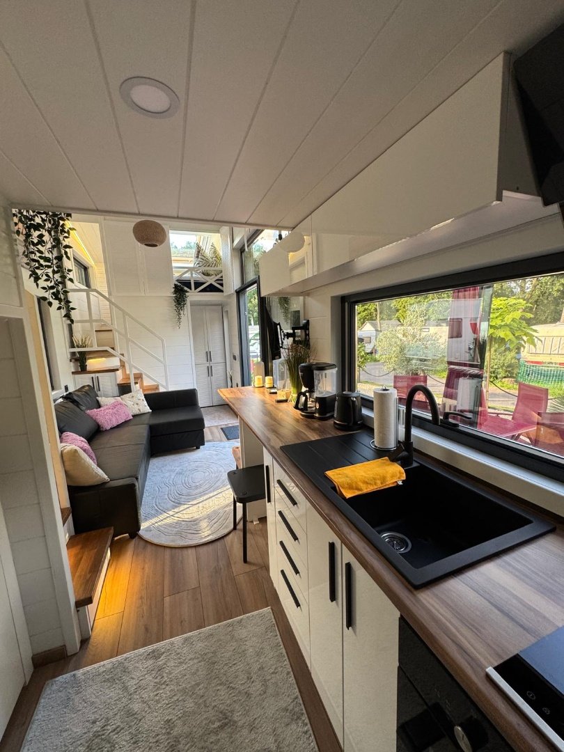 Queen Dream 8334 (9)