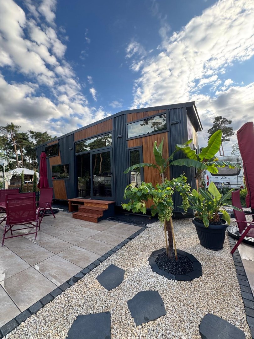 Queen Dream 8334 (22)