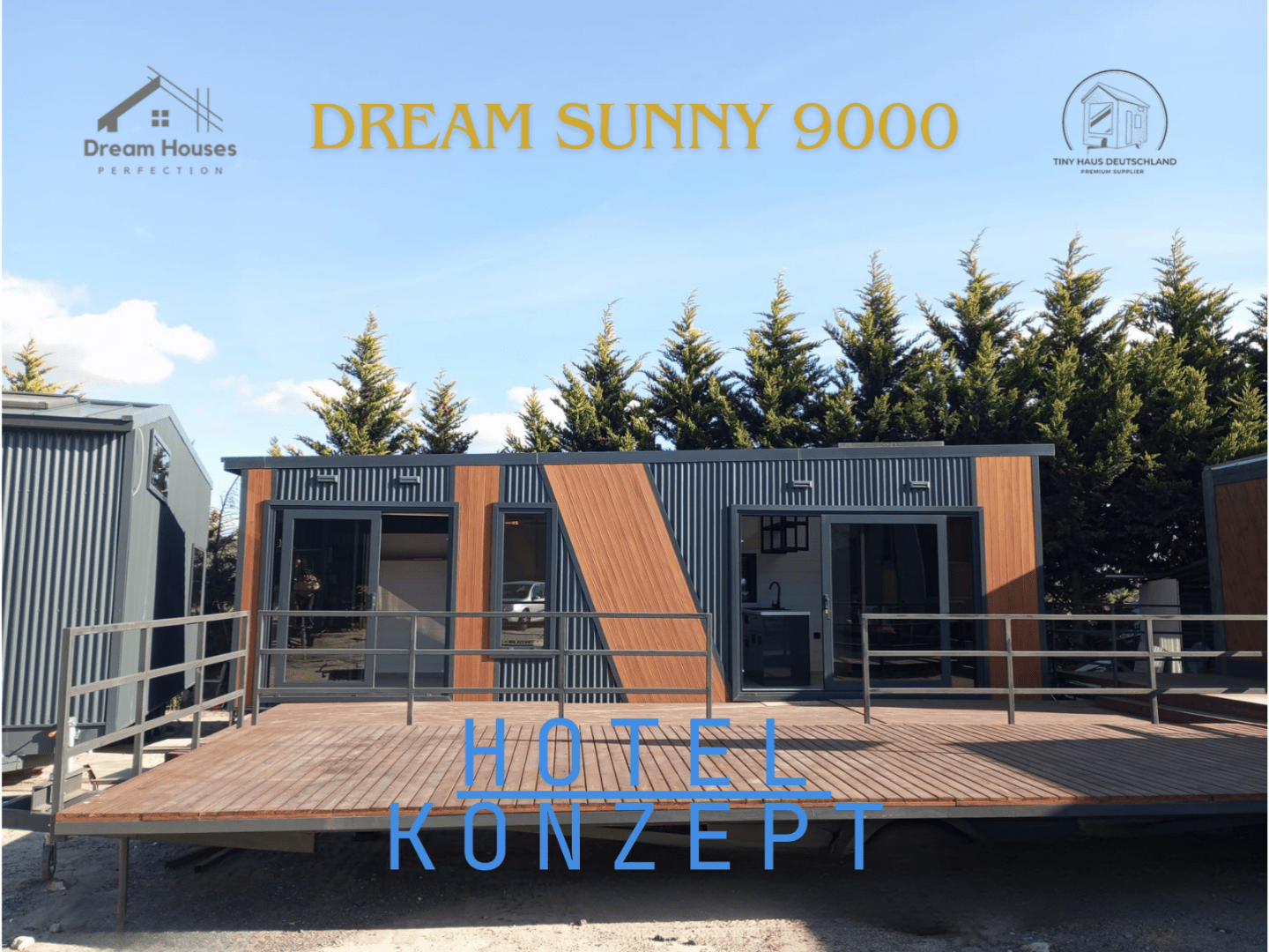 Dream Sunny 6000 (1)