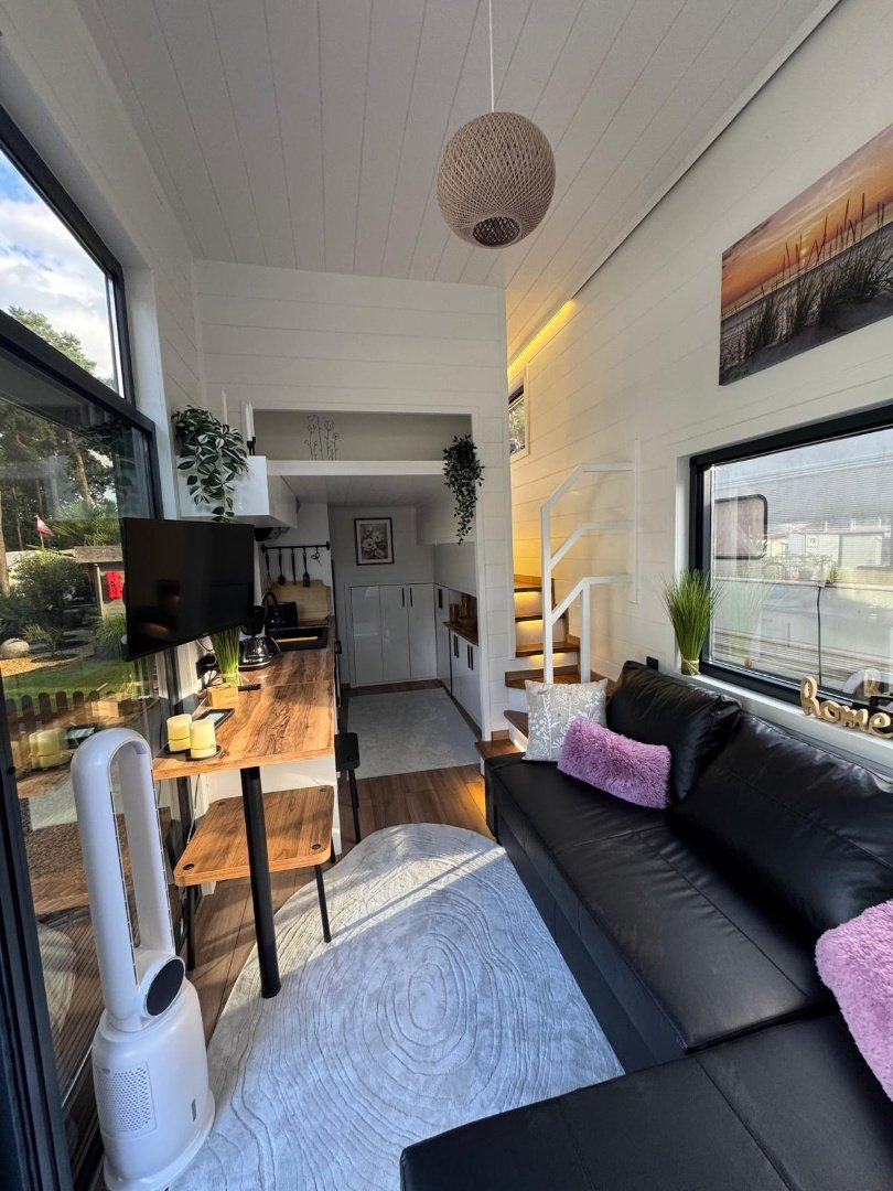 Queen Dream 8334 (14)