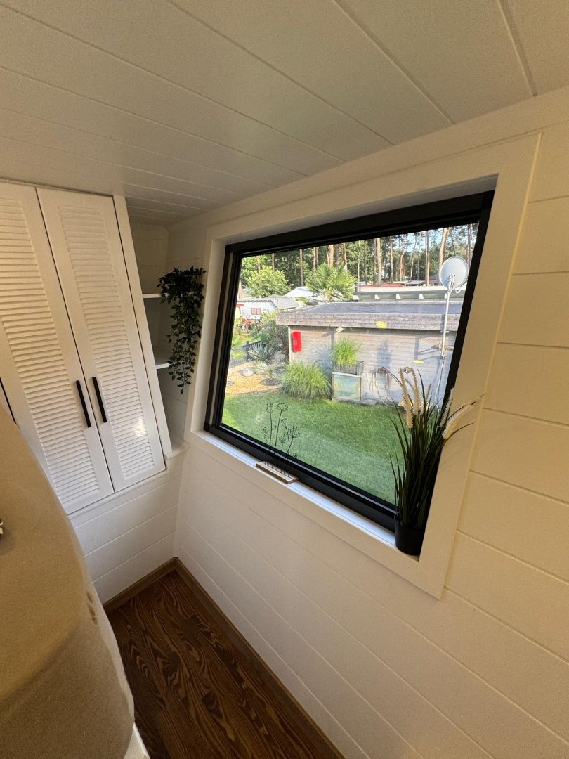 Queen Dream 8334 (3)