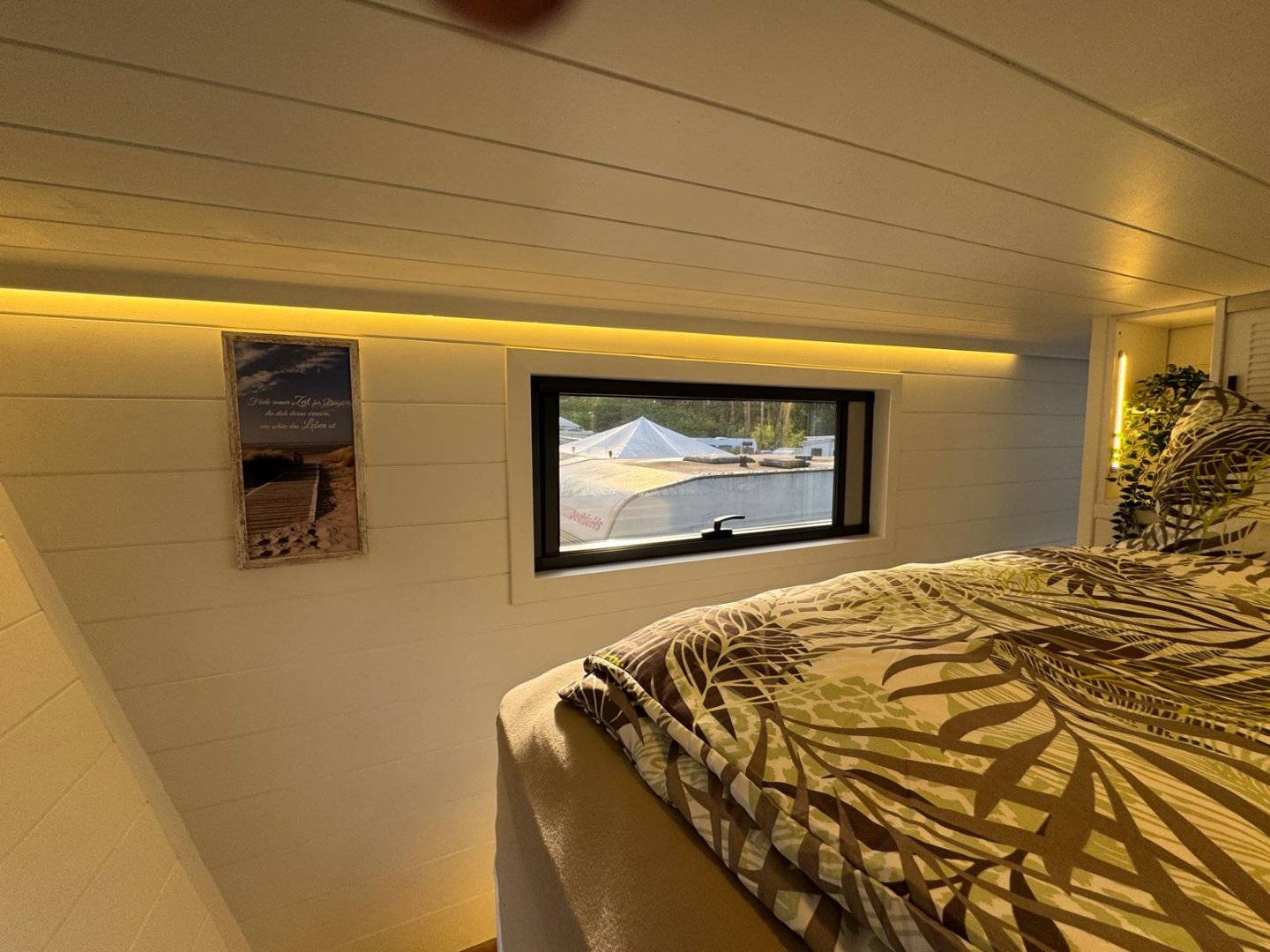 Queen Dream 8334 Premium Line