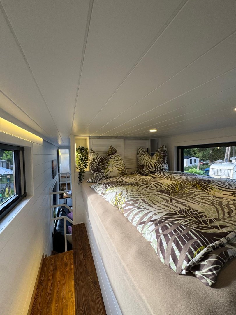 Queen Dream 8334 Premium Line