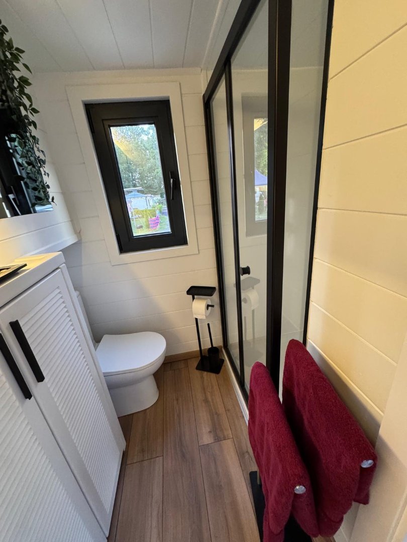 Queen Dream 8334 Premium Line