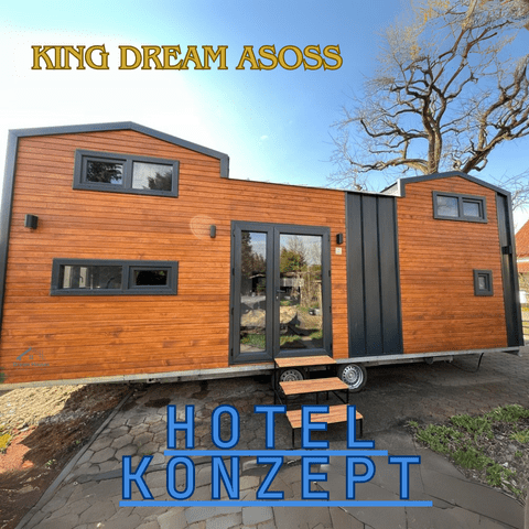 King Dream Asoss (480 X 480 Piksel) (1)