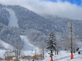 Kartepe Evden Eve Nakliyat