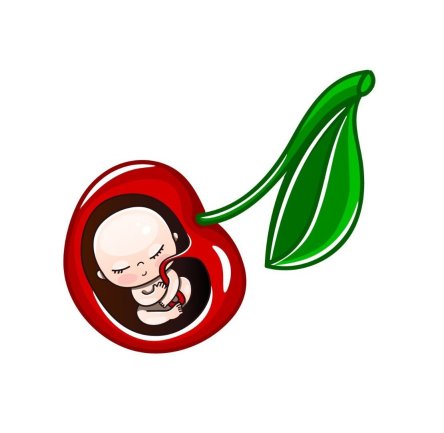 Week by Week Pregnancy 6 - 8 Weeks