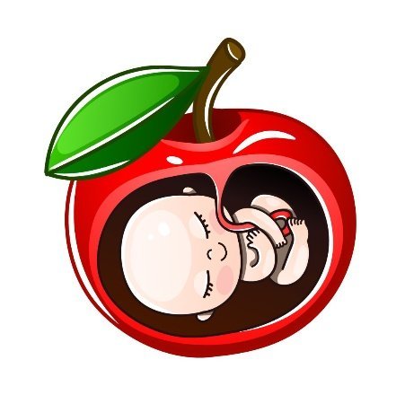 Week by Week Pregnancy 11 - 13 Weeks