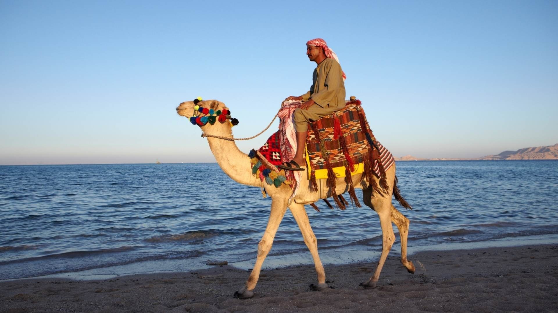 Sharm El İzmir Çıkışlı Turlar