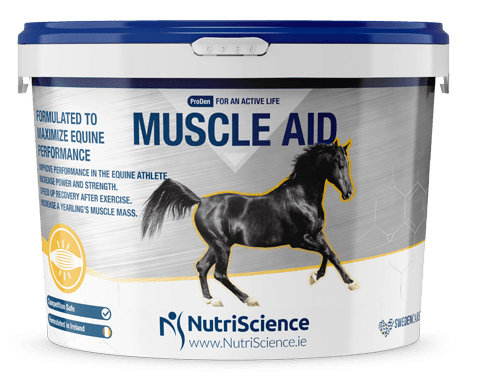 muscleaid